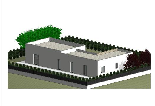 Obra Nueva - Villa - Pinoso - Lel