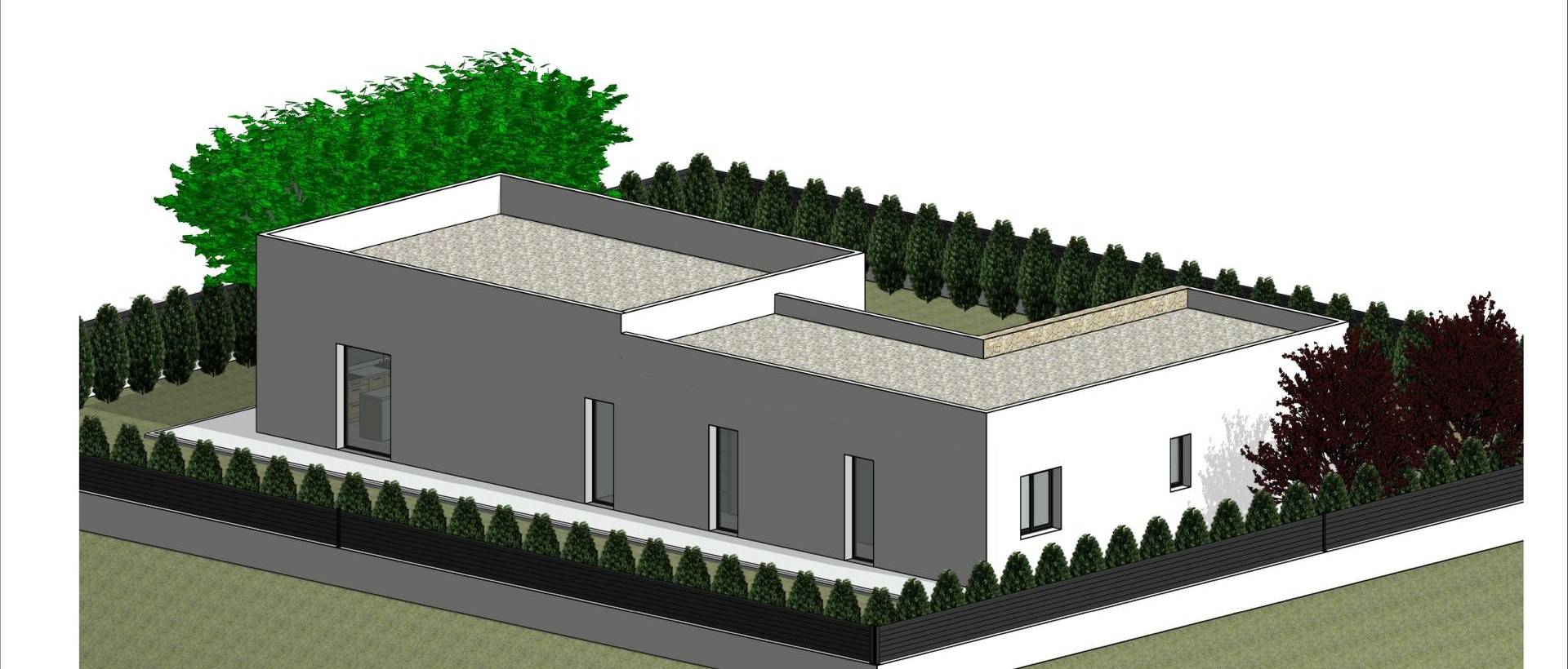 Obra Nueva - Villa - Pinoso - Lel