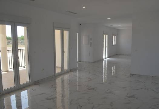 Obra Nueva - Villa - Pinoso - Camino Del Prado