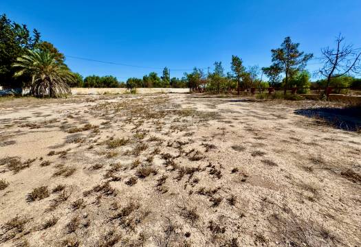 Reventa - Finca / Casa de Campo - Los Montesinos