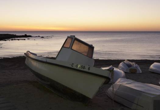 Obra Nueva - Adosado - Torrevieja - Torrejón