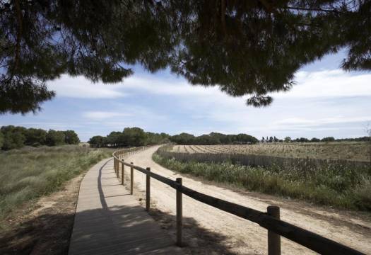 Obra Nueva - Adosado - Torrevieja - Torrejón