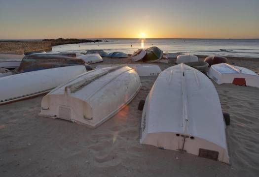 Obra Nueva - Adosado - Torrevieja - Aguas Nuevas