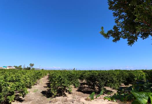 Reventa - Villa - Ciudad Quesada - Doña Pepa