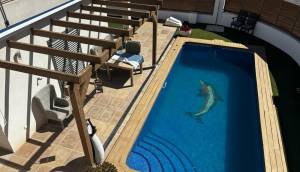Resale - Detached Villa - Cox