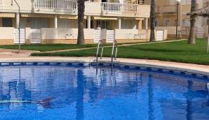 Resale - Townhouse - Orihuela Costa - Lomas de Cabo Roig