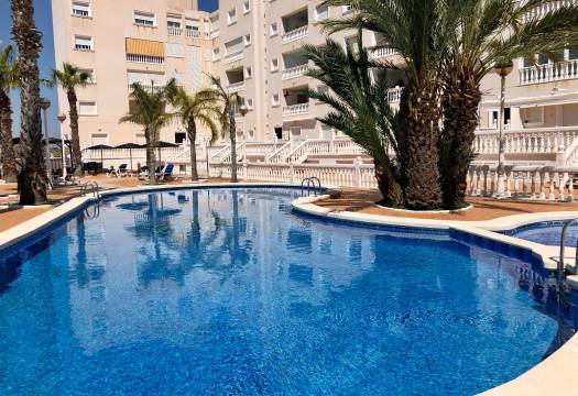 Apartment · Rental · Guardamar del Segura · Guardamar del Segura