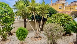 Resale - Villa - Algorfa - Lo Crispin