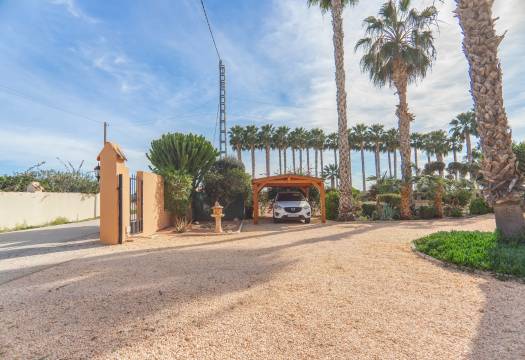 Resale - Finca / Country Property - Orihuela - San Bartolome