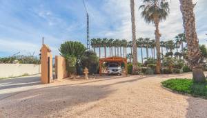 Resale - Finca / Country Property - Orihuela - San Bartolome