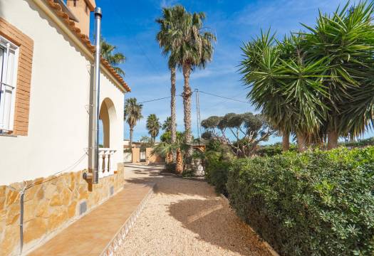 Resale - Finca / Country Property - Orihuela - San Bartolome