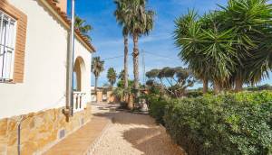 Resale - Finca / Country Property - Orihuela - San Bartolome