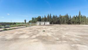 Reventa - Finca / Casa de Campo - Los Montesinos