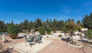 Reventa - Finca / Casa de Campo - Los Montesinos