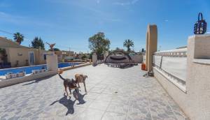 Reventa - Finca / Casa de Campo - Los Montesinos