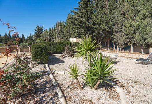 Reventa - Finca / Casa de Campo - Los Montesinos
