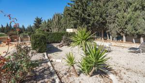 Reventa - Finca / Casa de Campo - Los Montesinos