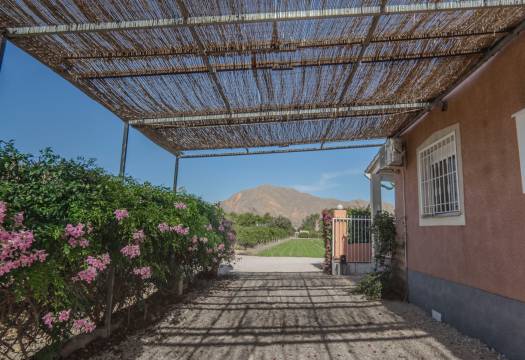 Reventa - Finca / Casa de Campo - Orihuela - San Bartolome