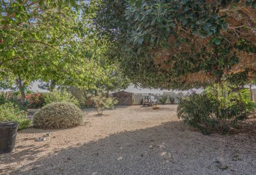 Reventa - Finca / Casa de Campo - Orihuela - San Bartolome