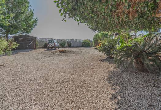 Reventa - Finca / Casa de Campo - Orihuela - San Bartolome