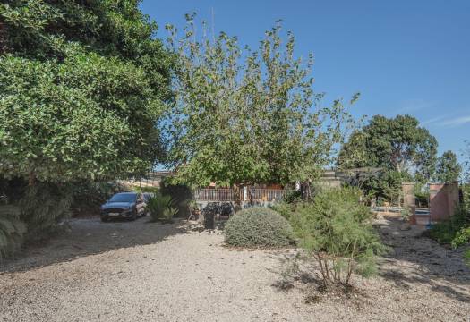 Reventa - Finca / Casa de Campo - Orihuela - San Bartolome