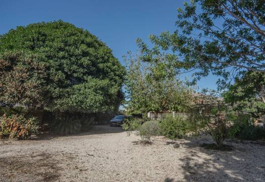 Reventa - Finca / Casa de Campo - Orihuela - San Bartolome