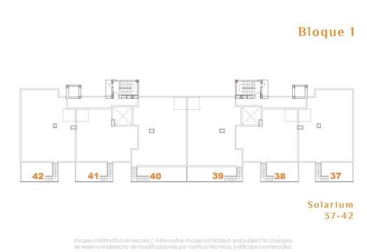 Obra Nueva - Apartmento - San Miguel de Salinas - Pueblo