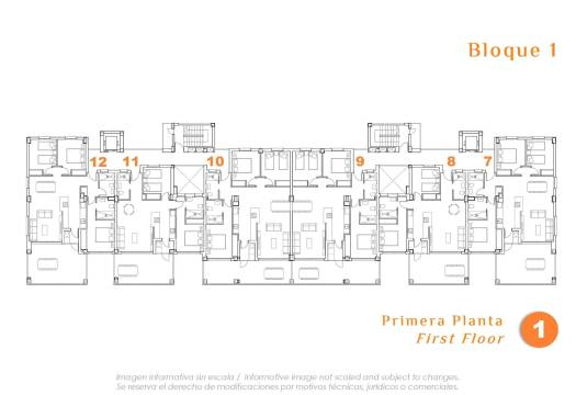 New - Apartment - San Miguel de Salinas - Pueblo