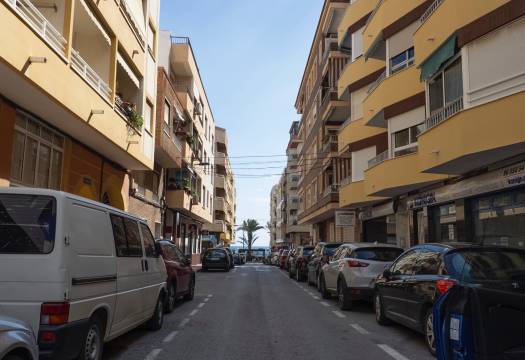 Obra Nueva - Apartmento - Torrevieja