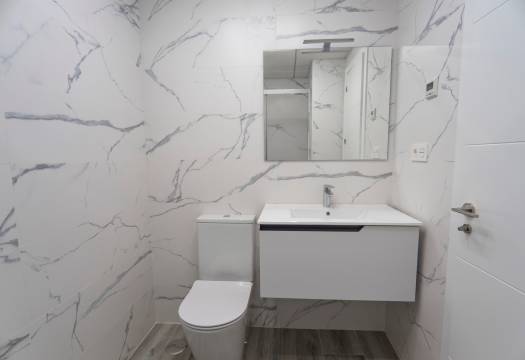 Obra Nueva - Apartmento - Torrevieja