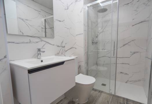 Obra Nueva - Apartmento - Torrevieja