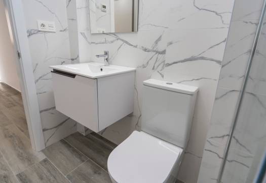 Obra Nueva - Apartmento - Torrevieja