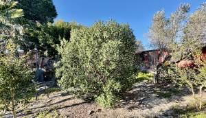 Resale - Villa - Guardamar del Segura