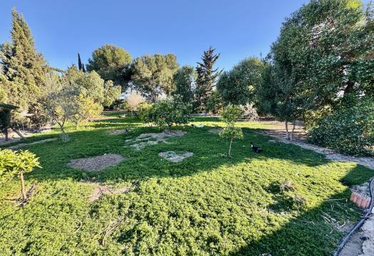 Resale - Villa - Guardamar del Segura