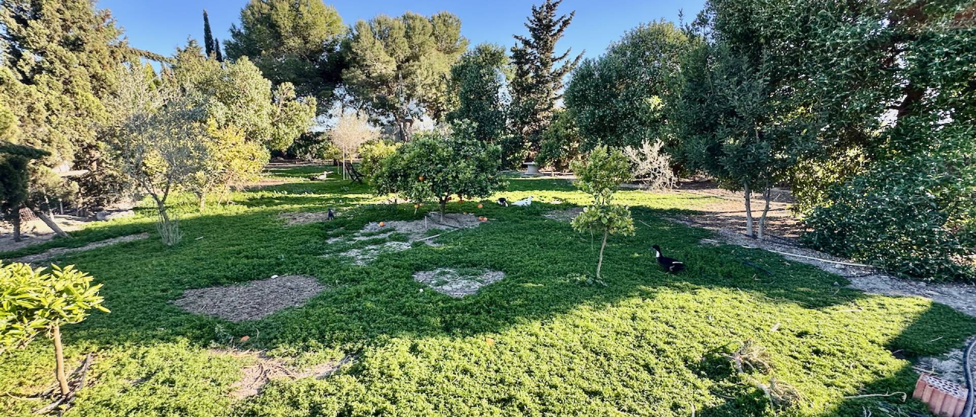 Resale - Villa - Guardamar del Segura