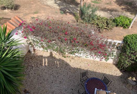 Resale - Detached Villa - Guardamar del Segura - Guardamar - El Raso