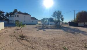 Reventa - Finca / Casa de Campo - Catral