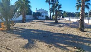 Reventa - Finca / Casa de Campo - Catral