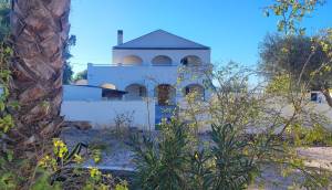 Reventa - Finca / Casa de Campo - Catral