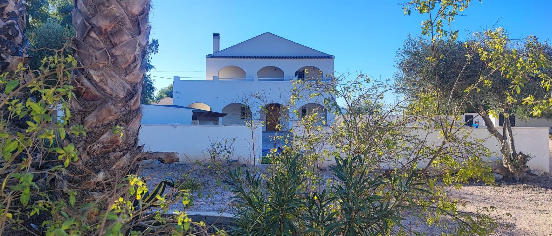 Reventa - Finca / Casa de Campo - Catral
