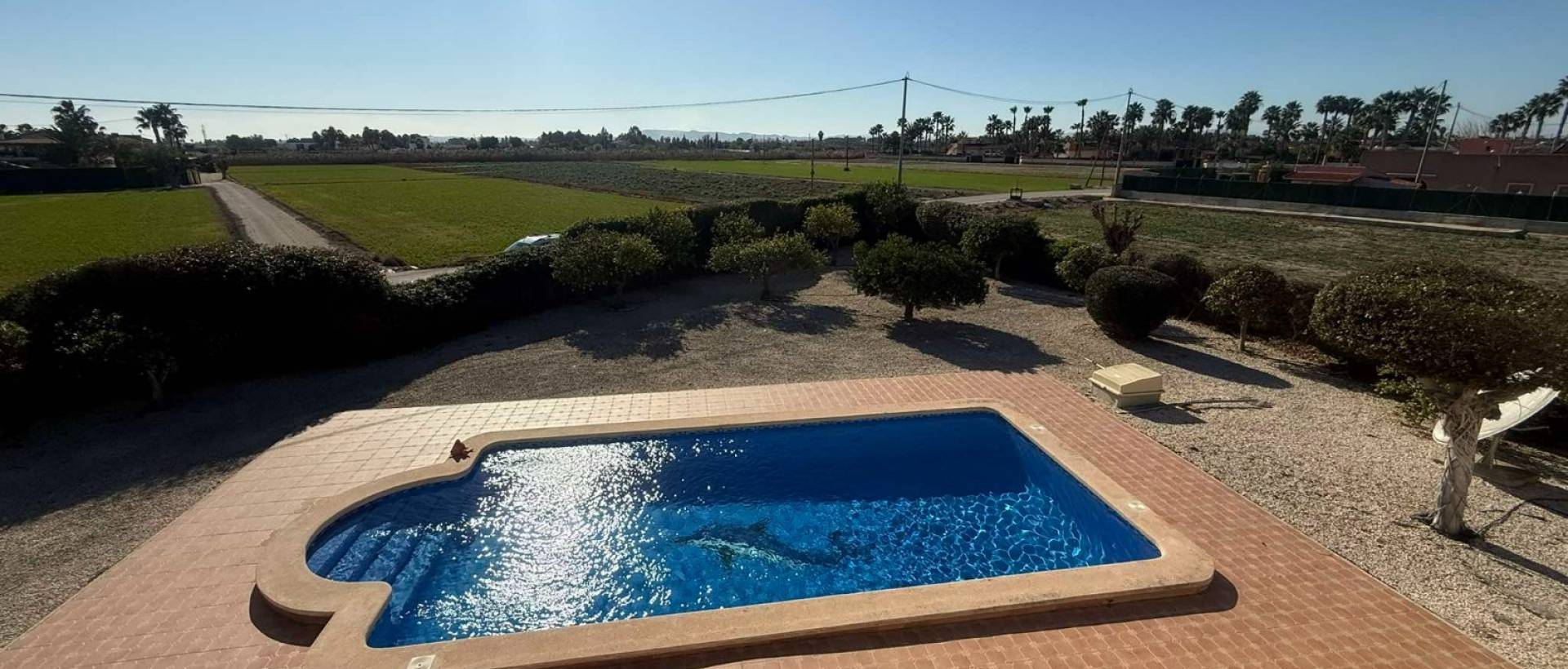 Reventa - Finca / Casa de Campo - Catral
