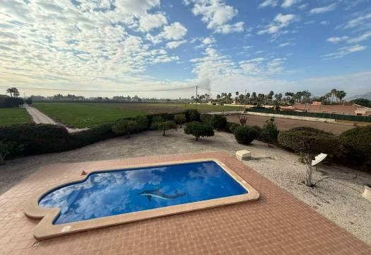 Reventa - Finca / Casa de Campo - Catral