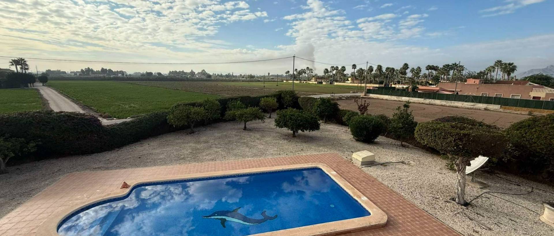 Reventa - Finca / Casa de Campo - Catral