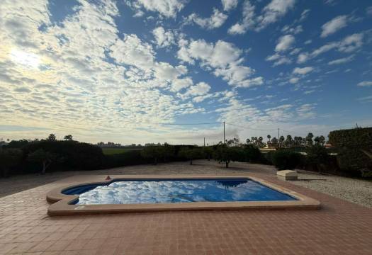 Reventa - Finca / Casa de Campo - Catral