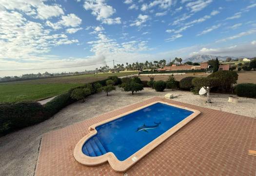 Reventa - Finca / Casa de Campo - Catral