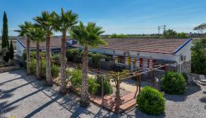 Reventa - Finca / Casa de Campo - Catral
