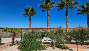 Reventa - Finca / Casa de Campo - Catral