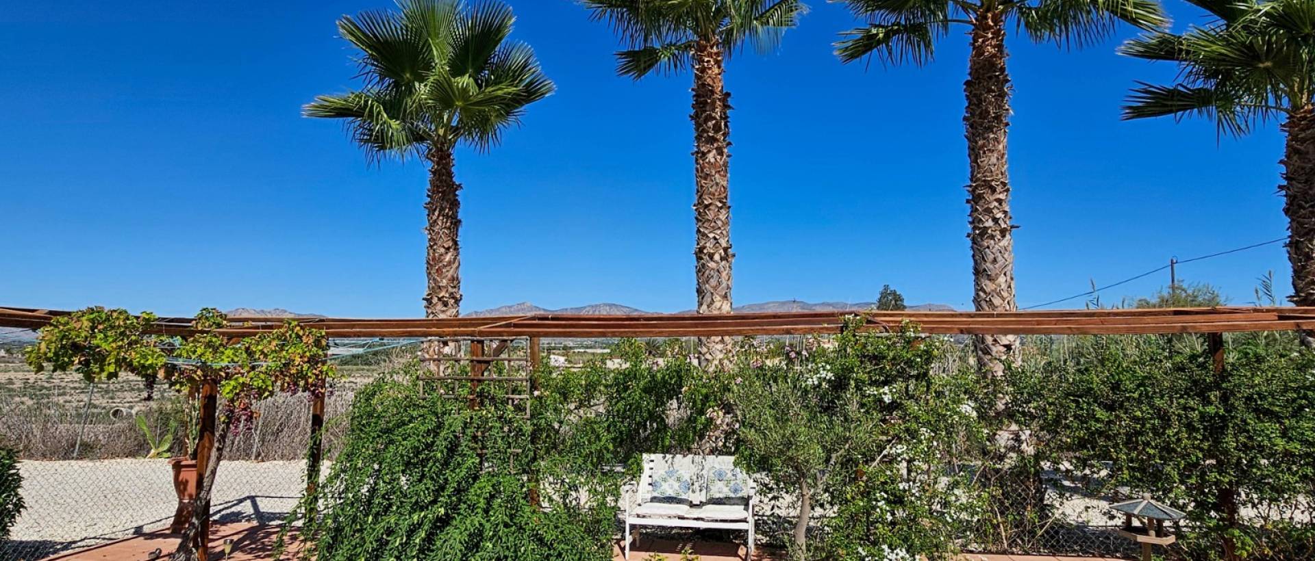 Reventa - Finca / Casa de Campo - Catral
