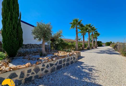 Reventa - Finca / Casa de Campo - Catral