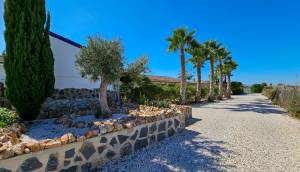 Reventa - Finca / Casa de Campo - Catral